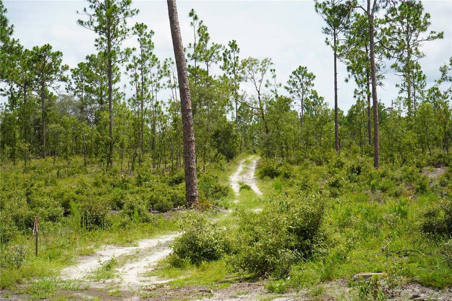 Property photo for SE STATE ROAD 121 LOT A & B, Morriston, FL