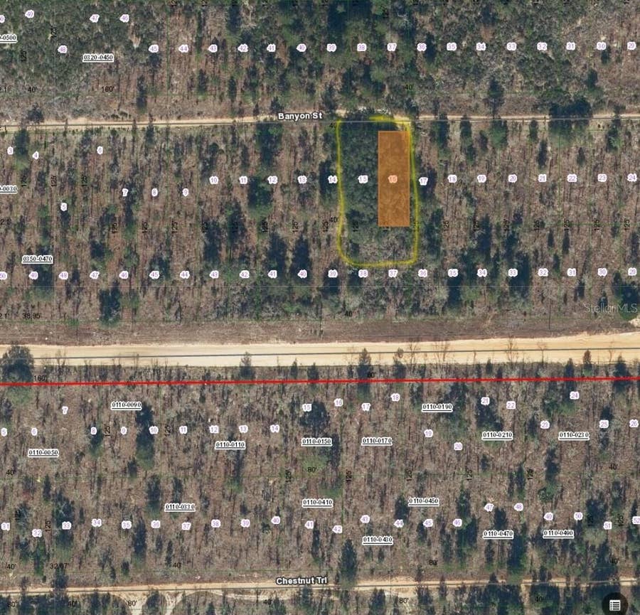 Property photo for TBD BANYAN STREET, Interlachen, FL