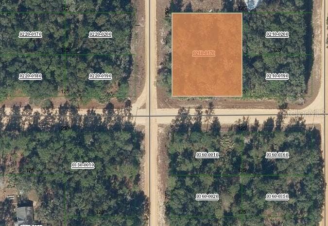 Property photo for 00 NORMAN AVENUE, Interlachen, FL