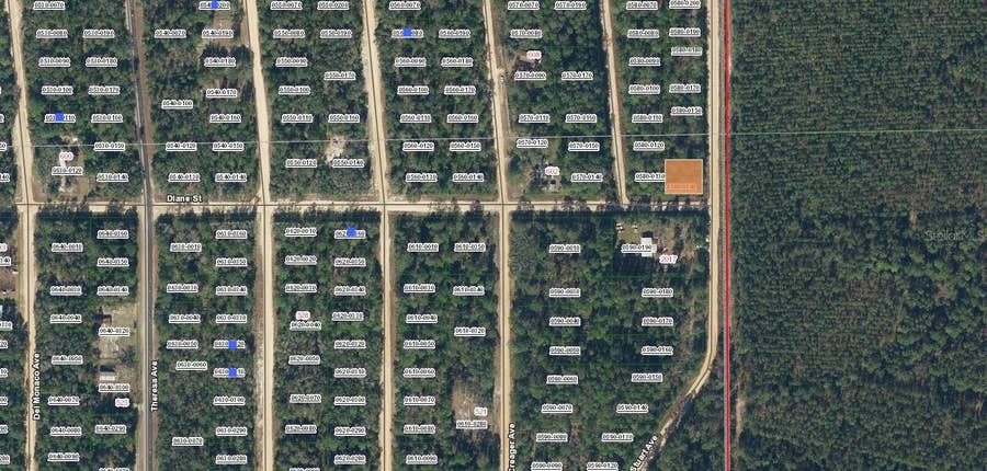 Property photo for DIANE STREET, Interlachen, FL