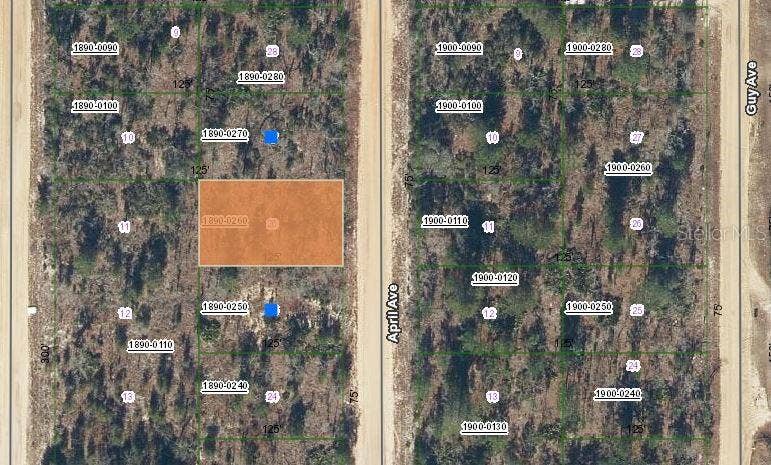 Property photo for 00 APRIL AVENUE, Interlachen, FL