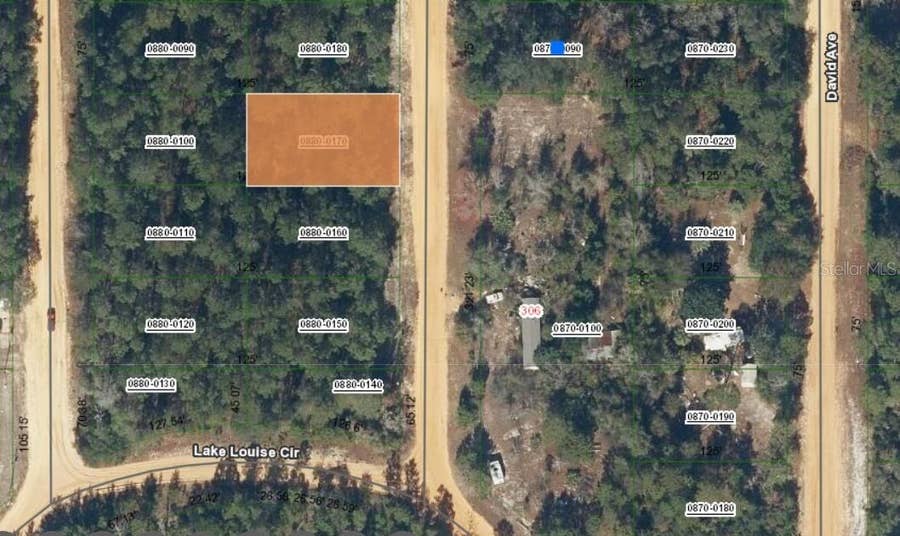 Property photo for Lot 17 THERESA AVENUE, Interlachen, FL