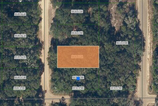Property photo for MARION AVENUE, Interlachen, FL
