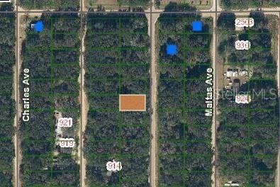Property photo for ANNETTE AVENUE, Interlachen, FL