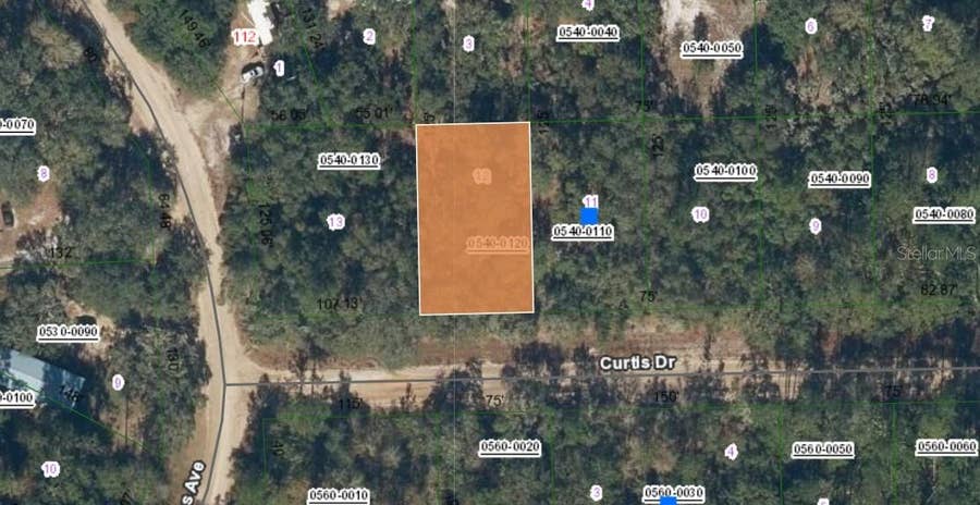 Property photo for 00 CURTIS DRIVE, Interlachen, FL
