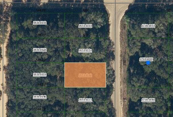 Property photo for ANNETTE AVENUE, Interlachen, FL