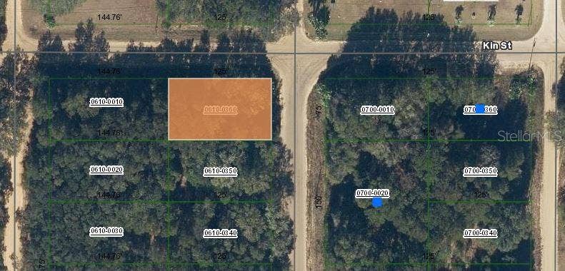 Property photo for ANNETTE AVENUE, Interlachen, FL