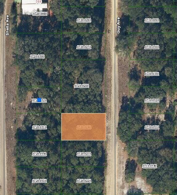 Property photo for GUY AVENUE, Interlachen, FL