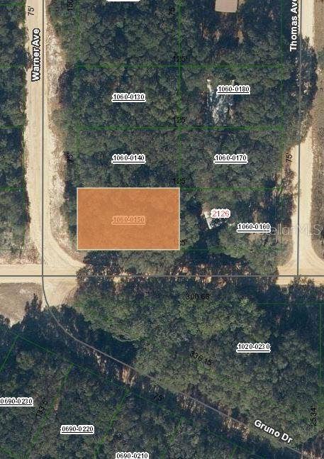 Property photo for 00 DENISE STREET, Interlachen, FL