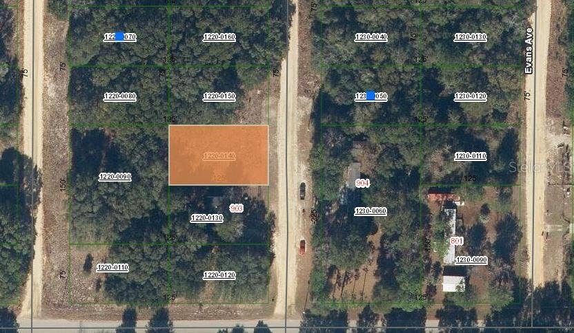 Property photo for 905 JANET AVENUE, Interlachen, FL