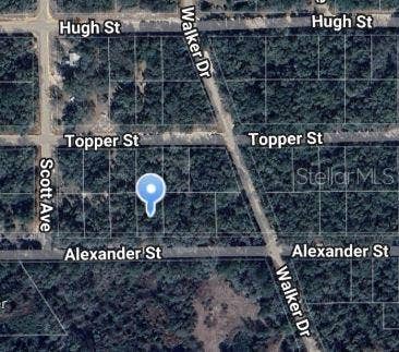 Property photo for 00 ALEXANDER STREET, Interlachen, FL