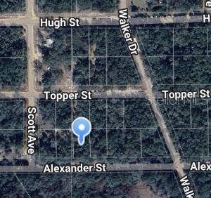 Property photo for 00 ALEXANDER STREET, Interlachen, FL