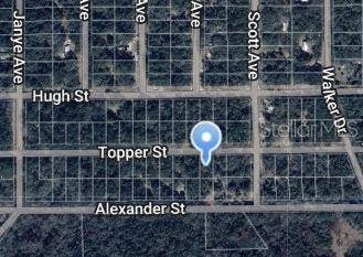 Property photo for 00 TOPPER STREET, Interlachen, FL