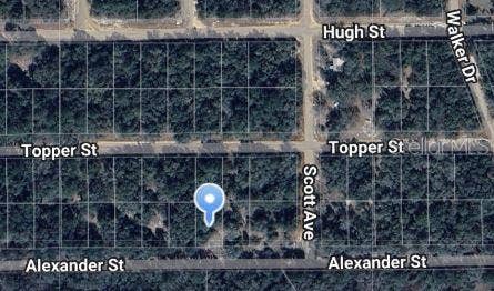 Property photo for ALEXANDER STREET, Interlachen, FL