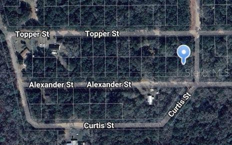 Property photo for ALEXANDER STREET, Interlachen, FL