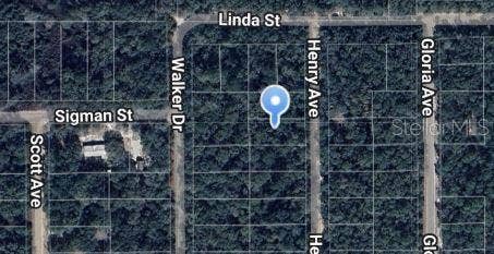 Property photo for HENRY AVENUE, Interlachen, FL