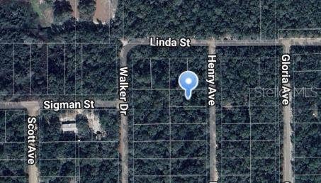 Property photo for HENRY AVENUE, Interlachen, FL