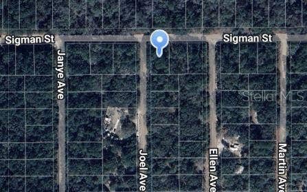 Property photo for JOEL AVENUE, Interlachen, FL