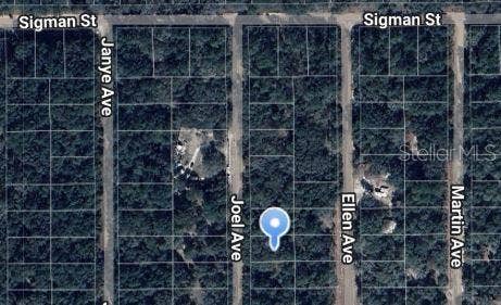 Property photo for JOEL AVENUE, Interlachen, FL
