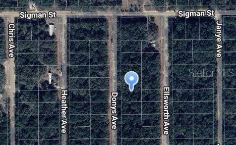 Property photo for DONYS AVENUE, Interlachen, FL