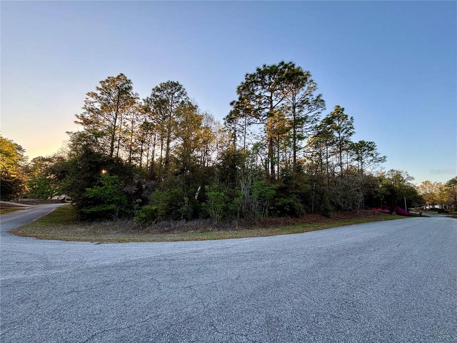 Property photo for Lot 33 SW 97 PLACE, Dunnellon, FL