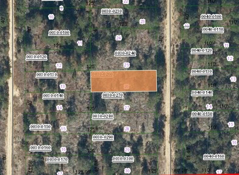 Property photo for 00 SW 57TH AVENUE, Interlachen, FL