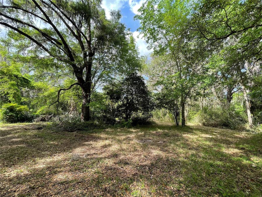 Property photo for 17400 NW 120TH AVE ROAD, Reddick, FL