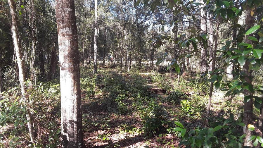 Property photo for 0 SE 204TH COURT, Umatilla, FL