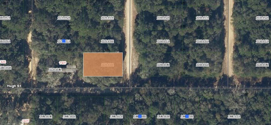 Property photo for 00 DONYS AVENUE, Interlachen, FL