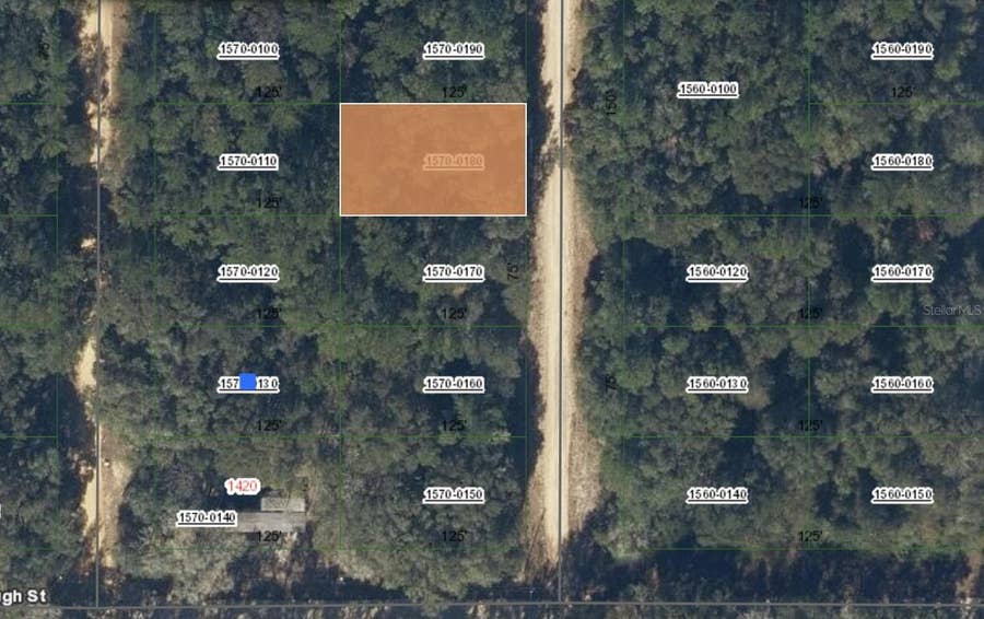 Property photo for 00 DONYS AVENUE, Interlachen, FL