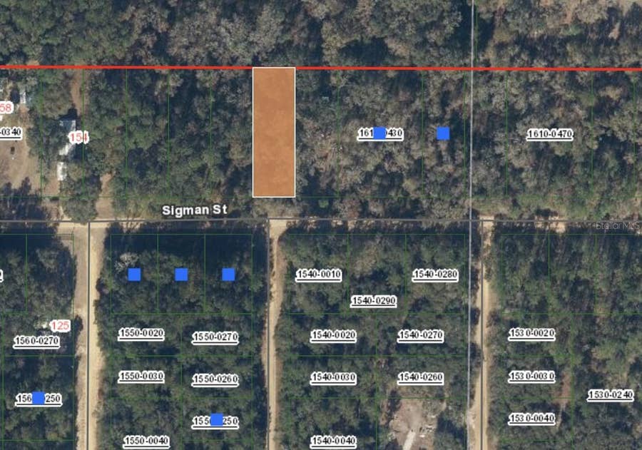 Property photo for 00 SIGMAN STREET, Interlachen, FL