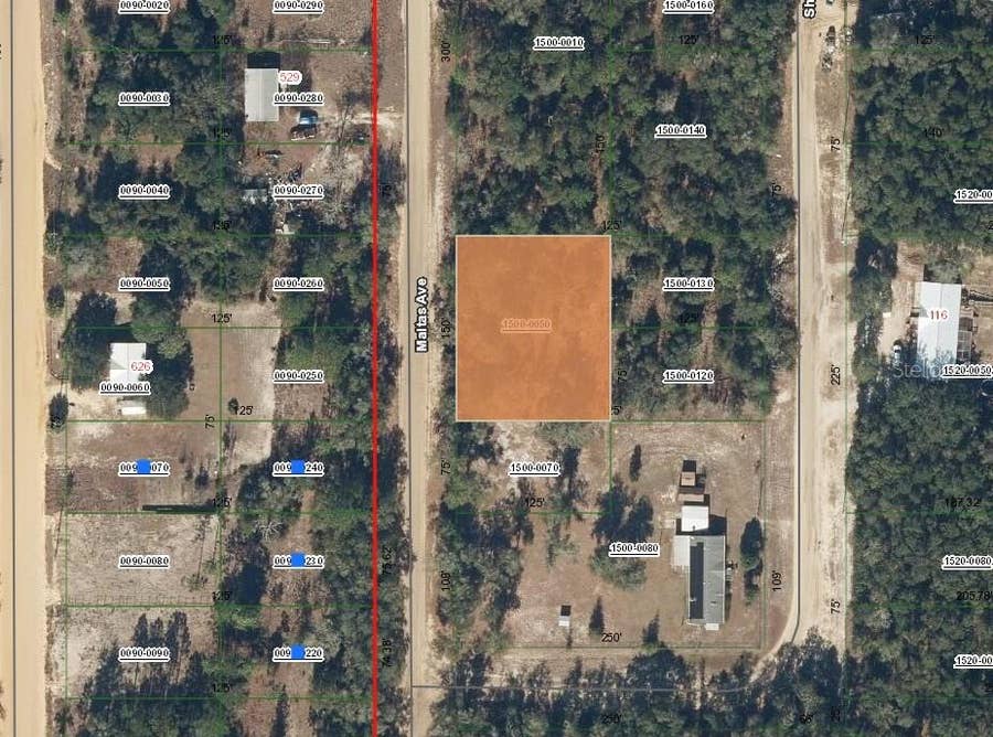 Property photo for 00 MALTAS AVENUE, Interlachen, FL