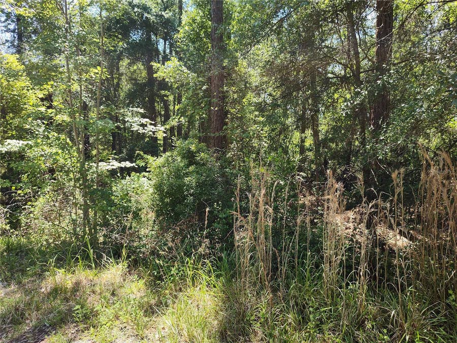 Property photo for 0000 NE 66TH AVENUE, Citra, FL