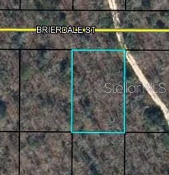 Property photo for Lot 6 BRIERDALE STREET, Chipley, FL