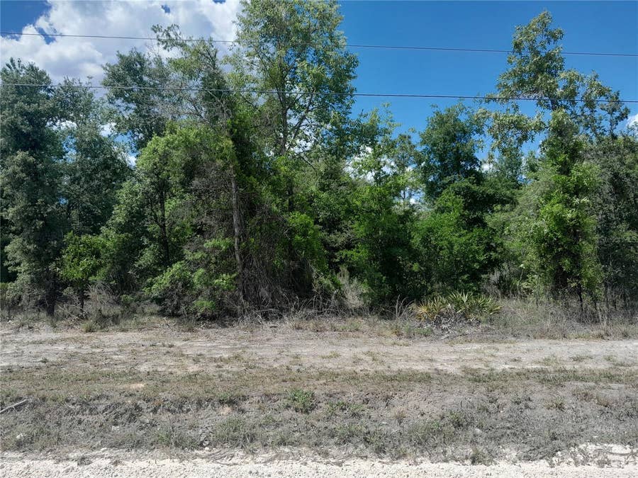 Property photo for tbd NE 63RD PLACE, Williston, FL