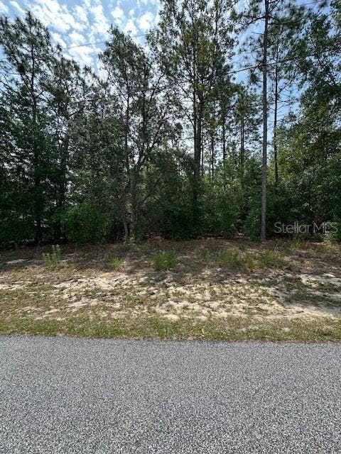 Property photo for 920 W RUM PLACE, Dunnellon, FL