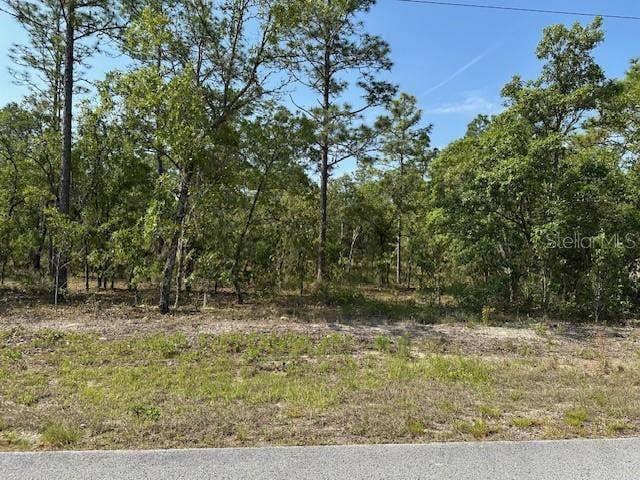 Property photo for Lot 20 SW ANCHOR BLVD, Dunnellon, FL