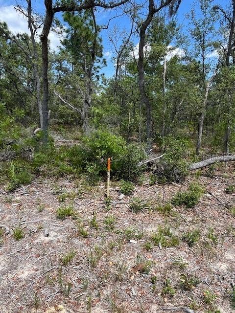 Property photo for TBD SW 57TH AVENUE, #46 & 47, Interlachen, FL