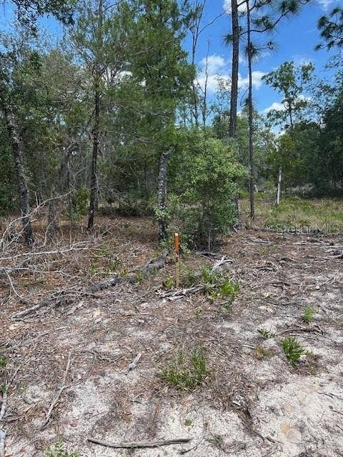 Property photo for TBD SW 57TH AVENUE, #48 & 49, Interlachen, FL