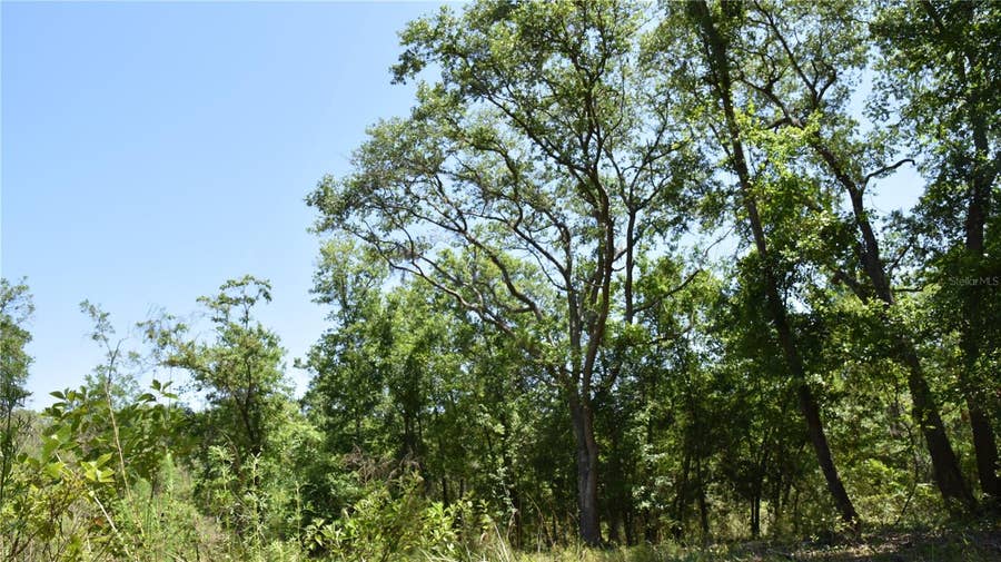 Property photo for 21312 NE 69TH PLACE, Melrose, FL