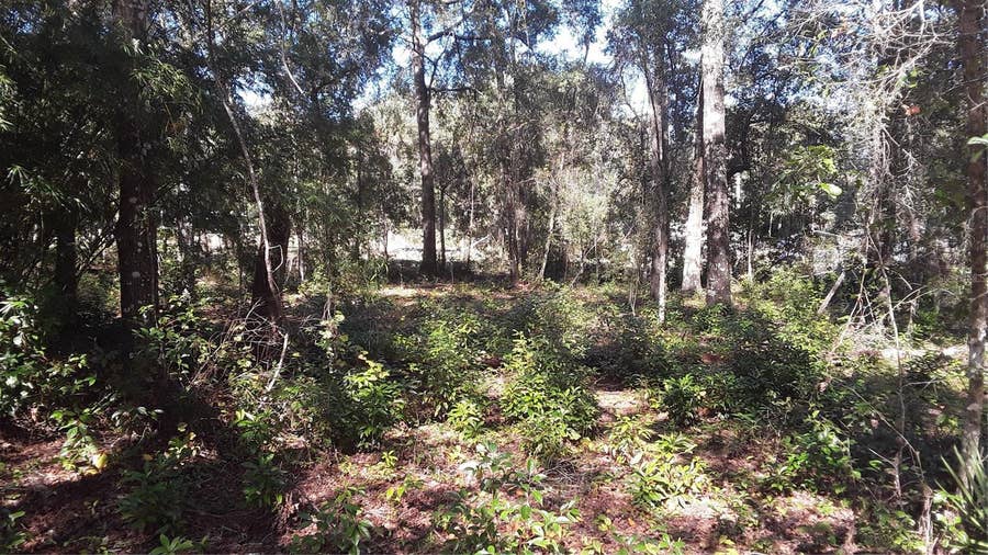 Property photo for 13231 BISSELL DRIVE, Punta Gorda, FL