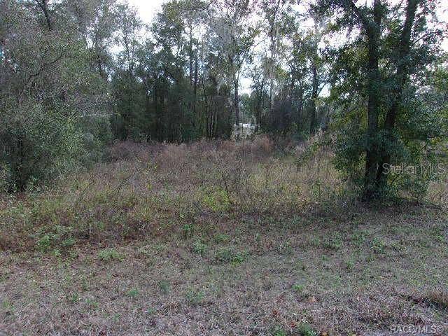 Property photo for 6700 E HAYNES LANE, Inverness, FL
