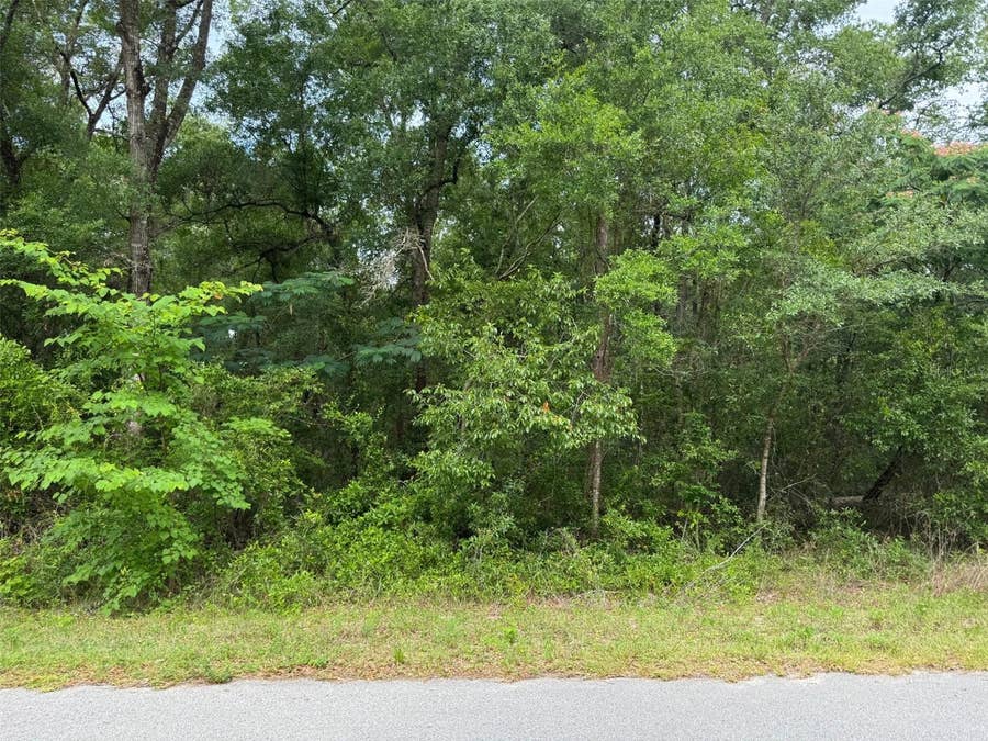 Property photo for Lot 14 SW CHANEL HEIGHTS COURT, Dunnellon, FL