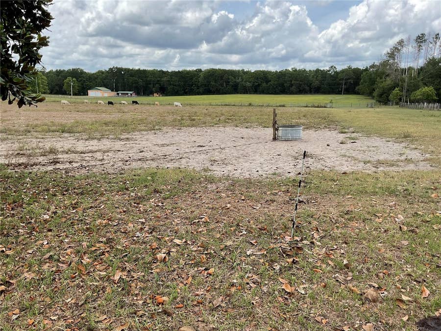 Property photo for 9750 NE 49TH STREET, Bronson, FL