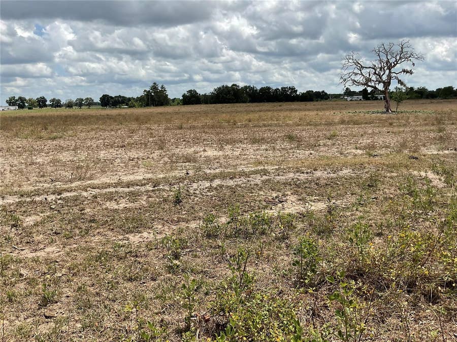 Property photo for tbd NE 46TH LANE, Bronson, FL