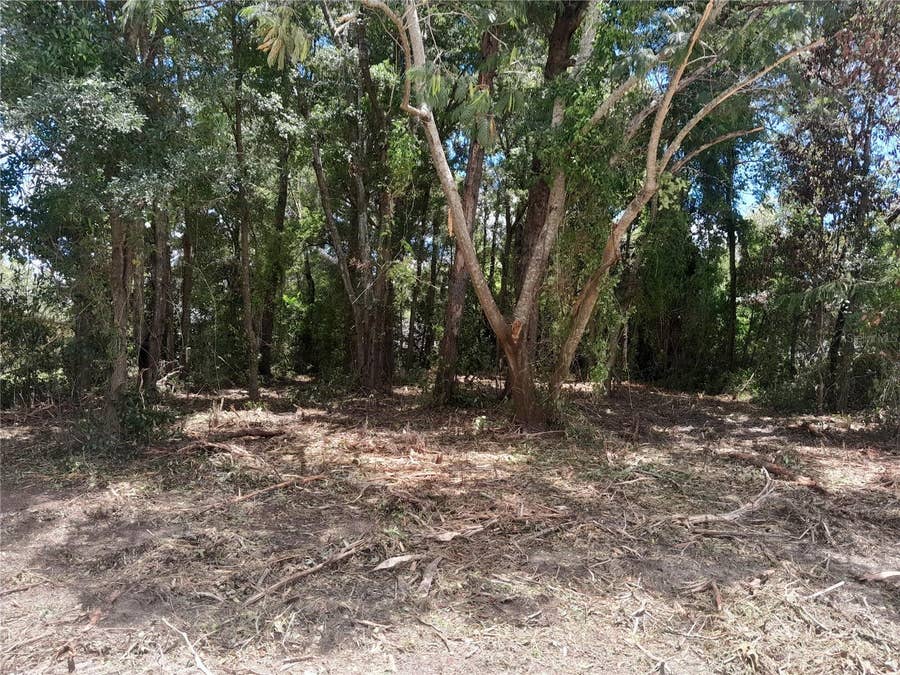 Property photo for tbd NE 48TH STREET, Williston, FL