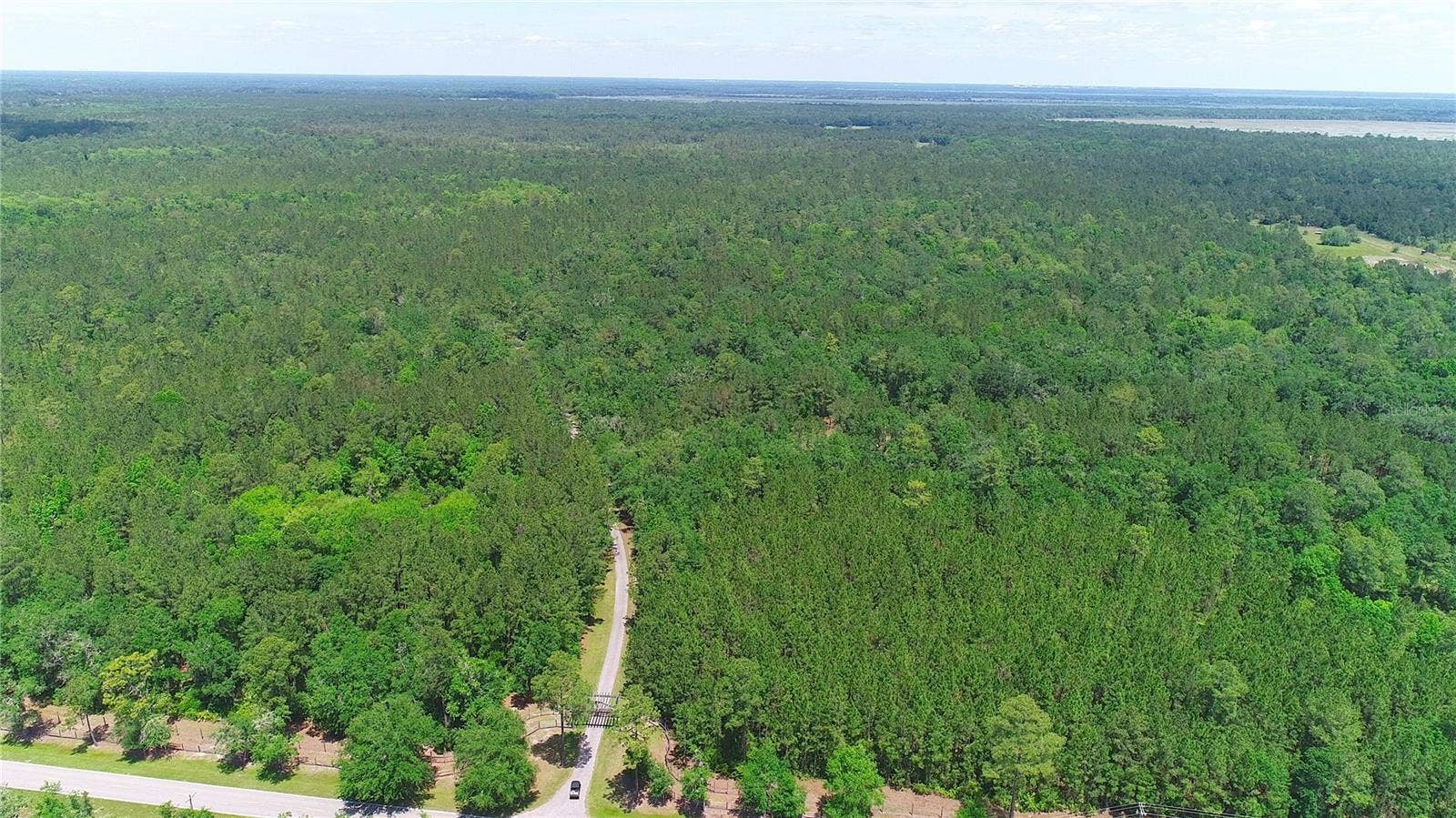 15305 NW HWY 320, Micanopy, FL 32667 Aerial