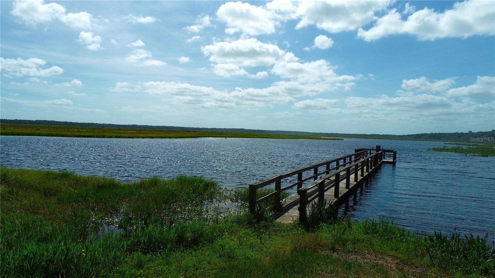 15305 NW HWY 320, Micanopy, FL 32667 15305 NW HWY 320, Micanopy, FL 32667