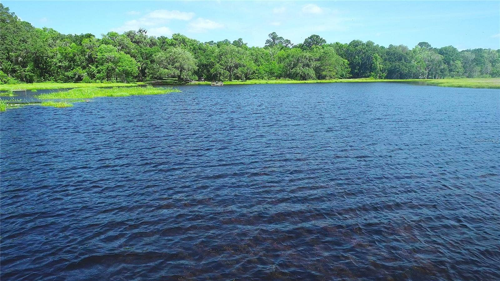 15305 NW HWY 320, Micanopy, FL 32667 15305 NW HWY 320, Micanopy, FL 32667