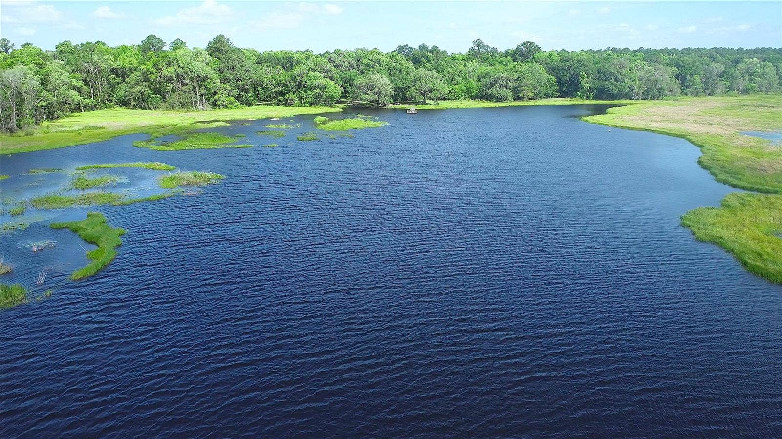 15305 NW HWY 320, Micanopy, FL 32667 Lake Ledwith